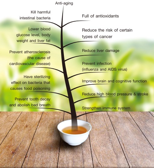 Read more about the article Health Benefits of Tea