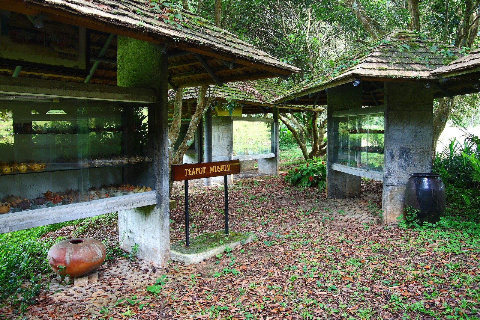 You are currently viewing Tea Pot Museum